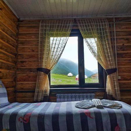 Altyn Arashan Guesthouse Exteriér fotografie